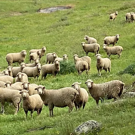 La Fuente Holiday home