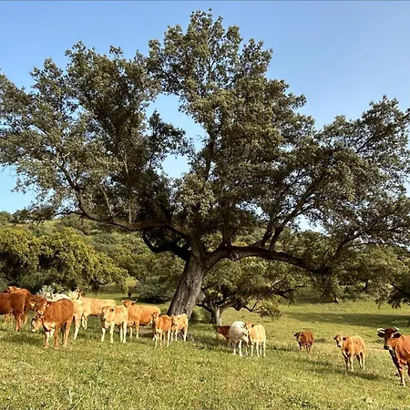 La Fuente Holiday home