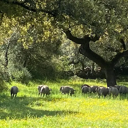 La Fuente Holiday home *