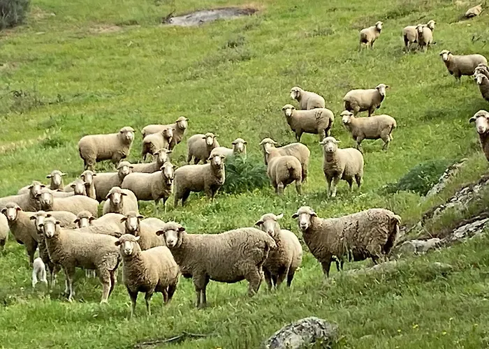 La Fuente Casa vacanze