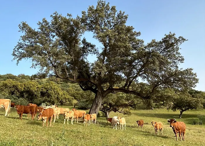 La Fuente Casa vacanze