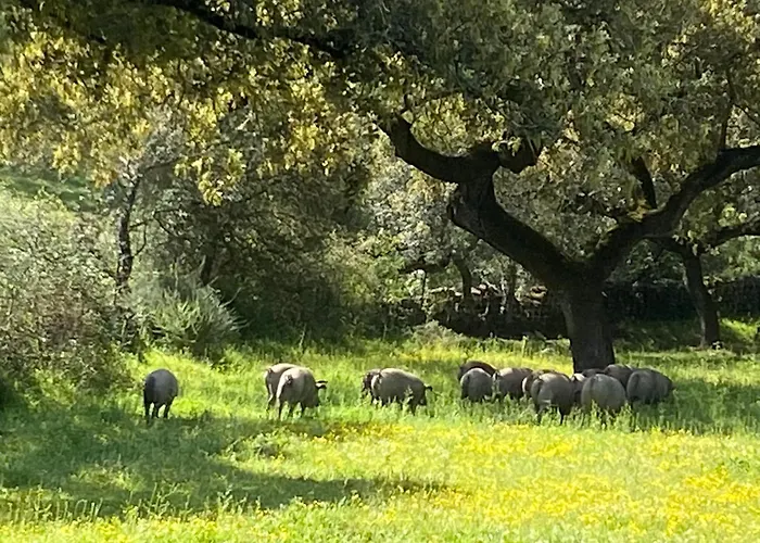 La Fuente Casa vacanze *
